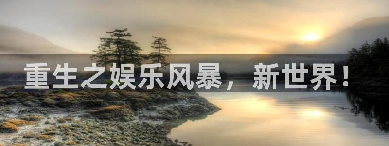泰达娱乐游app