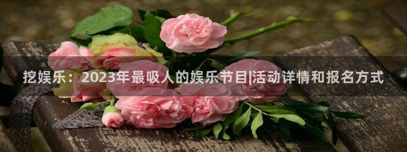 泰达娱乐注册链接入口
