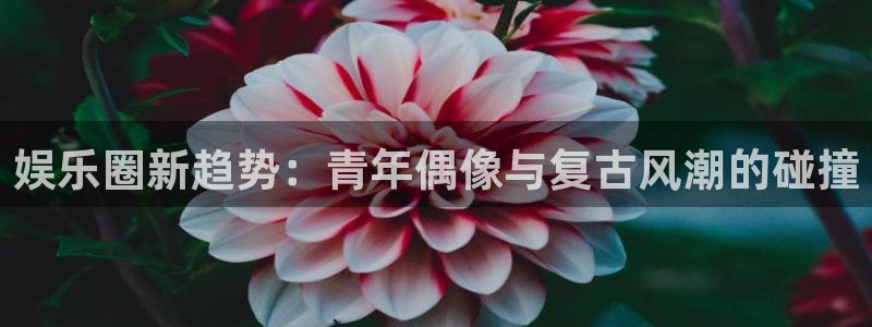 泰达娱乐(com.youad.authst)