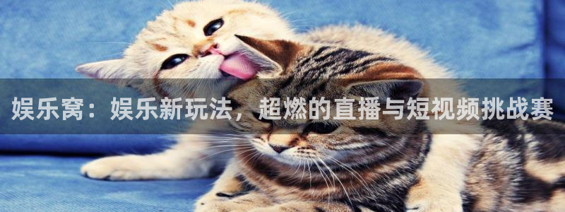 泰达娱乐官网版下载