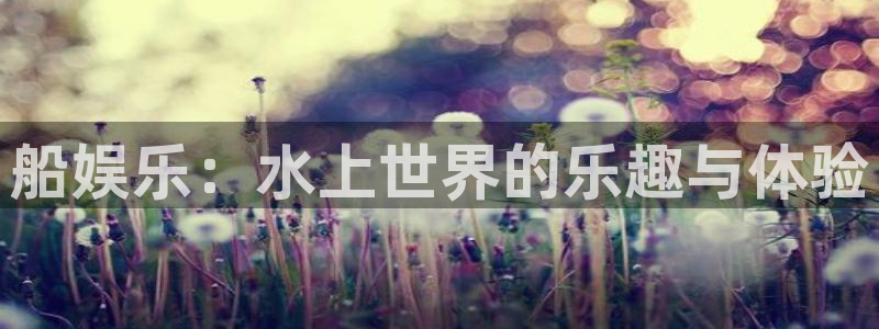 泰达娱乐