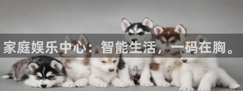 泰达娱乐官网下载