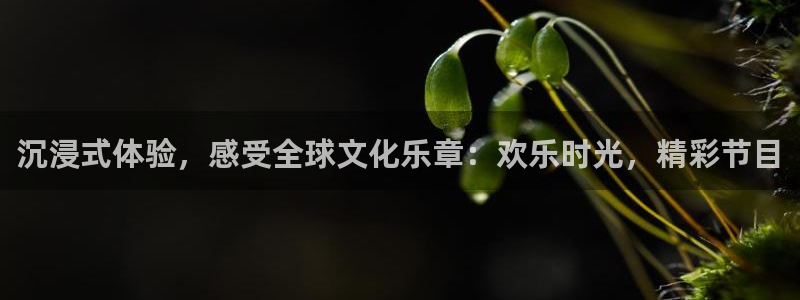 泰达娱乐注册入口