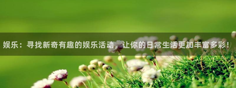 壹号电子娱乐app下载最新版