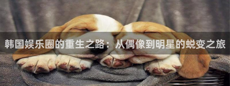 泰达娱乐加拿大官网