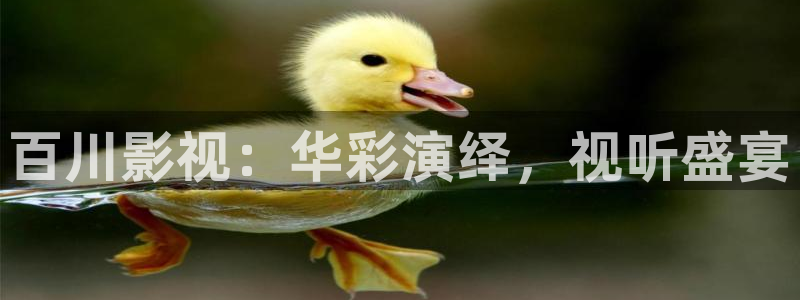 壹号大舞台官网入口