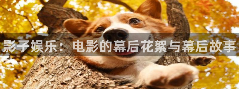 泰达娱乐官方app下载安装