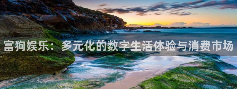 泰达娱乐app官网下载