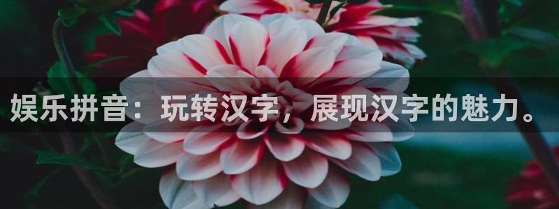 泰达娱乐app下载安装