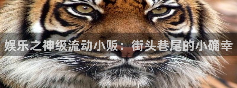 泰达娱乐,com：娱乐之神级流动小贩：街头巷尾的小确幸