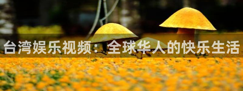 壹号app官网版下载：台湾娱乐视频：全球华人的快乐生活