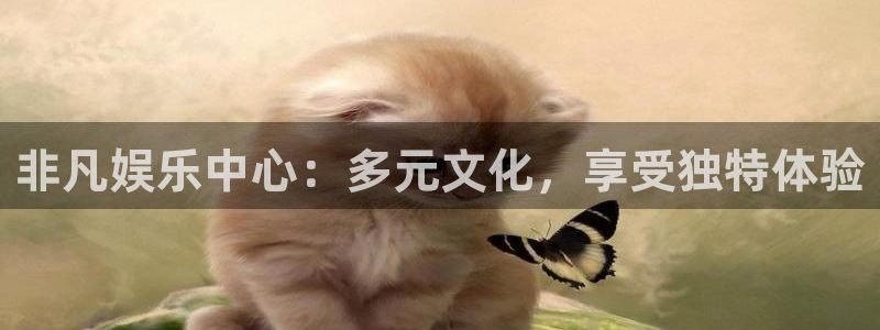 壹号下载安装：非凡娱乐中心：多元文化，享受独特体验