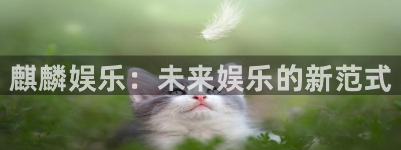 壹号官网app下载安装：麒麟娱乐：未来娱乐的新范式