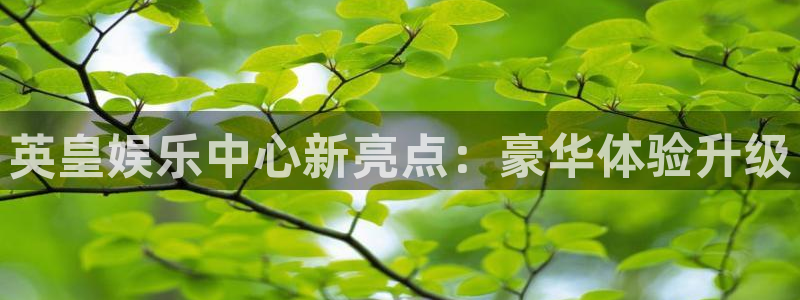 泰达娱乐平台app下载安装：英皇娱乐中心新亮点：豪华体验升级