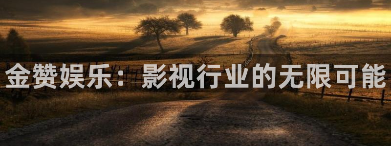壹号下载官网入口：金赞娱乐：影视行业的无限可能