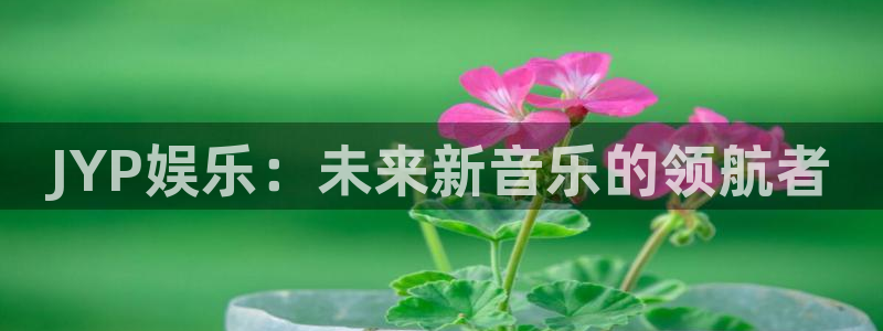 泰达娱乐网址：JYP娱乐：未来新音乐的领航者