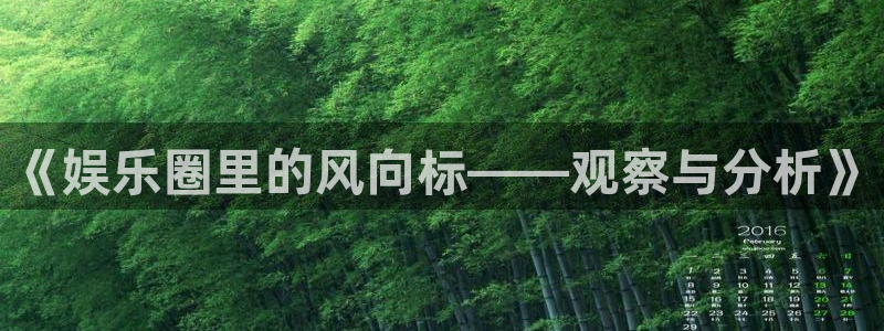 壹号大舞台：《娱乐圈里的风向标——观察与分析》