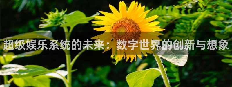 泰达娱乐官方网站：超级娱乐系统的未来：数字世界的创新与想象