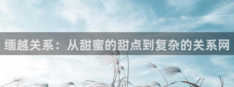 泰达娱乐注册入口：缅越关系：从甜蜜的甜点到复杂的关系网