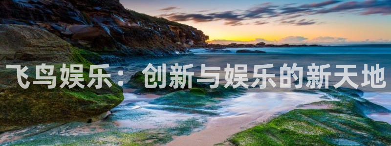 泰达娱乐登录：飞鸟娱乐：创新与娱乐的新天地