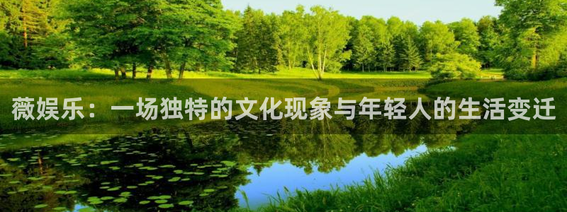 泰达娱乐是正规平台吗：薇娱乐：一场独特的文化现象与年轻人的生活变迁