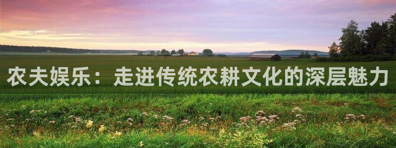 壹号app官网版下载：农夫娱乐：走进传统农耕文化的深层魅力
