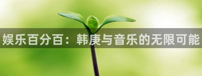泰达娱乐app下载地址：娱乐百分百：韩庚与音乐的无限可能
