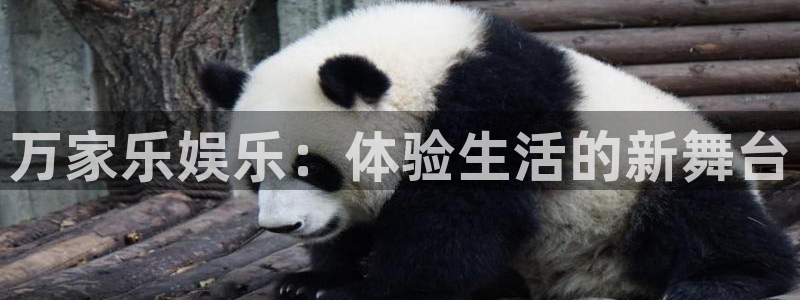 泰达娱乐在线预测：万家乐娱乐：体验生活的新舞台