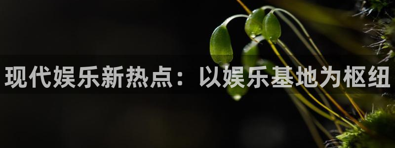 壹号大舞台网站：现代娱乐新热点：以娱乐基地为枢纽