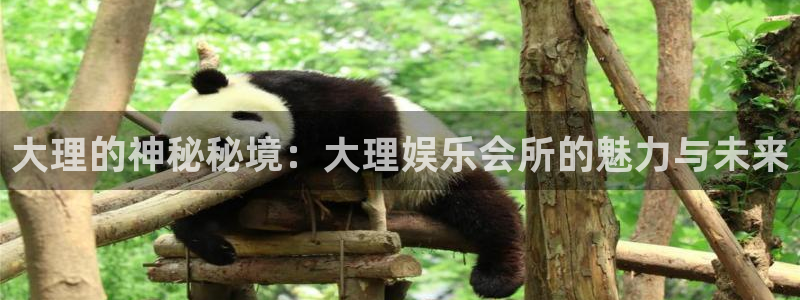 泰达娱乐官网版下载链接：大理的神秘秘境：大理娱乐会所的魅力与未来